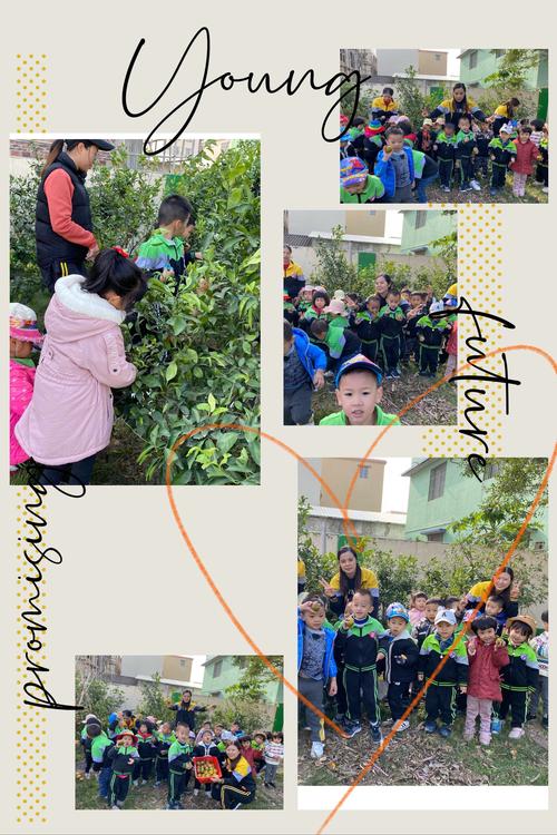 Cách Trị Hôi Miệng